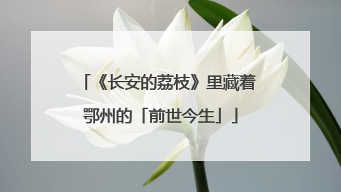 《长安的荔枝》里藏着鄂州的「前世今生」
