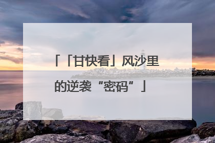 「甘快看」风沙里的逆袭“密码”