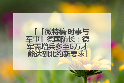「微特稿·时事与军事」德国防长：德军需增兵多至6万才能达到北约新要求