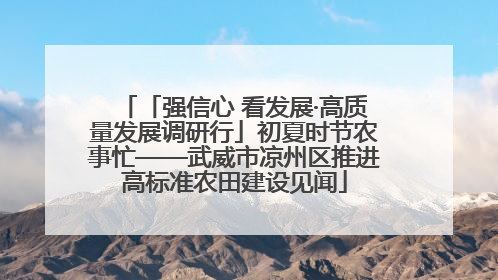 「强信心 看发展·高质量发展调研行」初夏时节农事忙——武威市凉州区推进高标准农田建设见闻