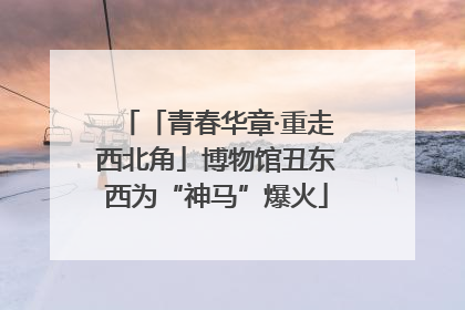 「青春华章·重走西北角」博物馆丑东西为“神马”爆火