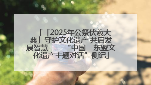 「2025年公祭伏羲大典」守护文化遗产 共启发展智慧——“中国—东盟文化遗产主题对话”侧记