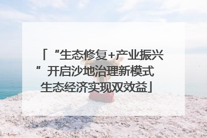 “生态修复+产业振兴”开启沙地治理新模式 生态经济实现双效益