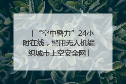 “空中警力”24小时在线，警用无人机编织城市上空安全网
