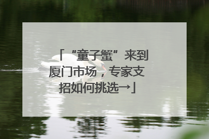 “童子蟹”来到厦门市场，专家支招如何挑选→