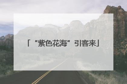 “紫色花海”引客来