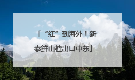 “红”到海外！新泰鲜山楂出口中东