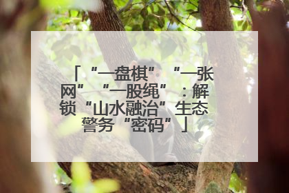 “一盘棋”“一张网”“一股绳”：解锁“山水融治”生态警务“密码”