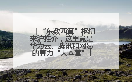 “东数西算”枢纽来沪推介，这里竟是华为云、腾讯和网易的算力“大本营”