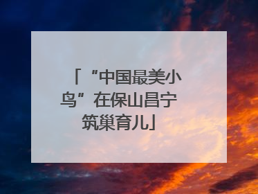 “中国最美小鸟”在保山昌宁筑巢育儿