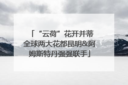 “云荷”花开并蒂 全球两大花都昆明&阿姆斯特丹强强联手