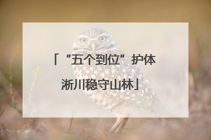“五个到位”护体 淅川稳守山林