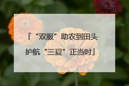 “双服”助农到田头 护航“三夏”正当时