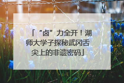 “卤”力全开！湖师大学子探秘武冈舌尖上的非遗密码