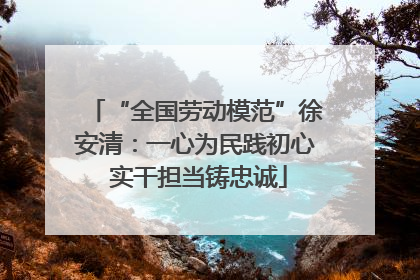“全国劳动模范”徐安清：一心为民践初心 实干担当铸忠诚