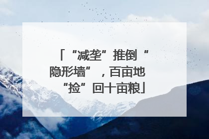 “减垄”推倒“隐形墙”，百亩地“捡”回十亩粮