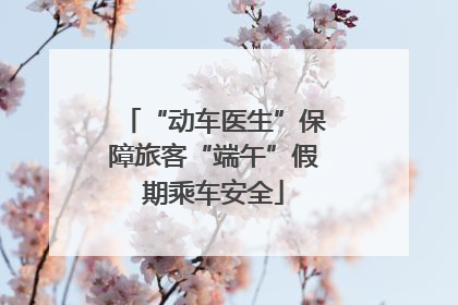 “动车医生”保障旅客“端午”假期乘车安全