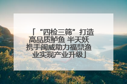 “四检三筛”打造高品质鲈鱼 半天妖携手闽威助力福鼎渔业实现产业升级
