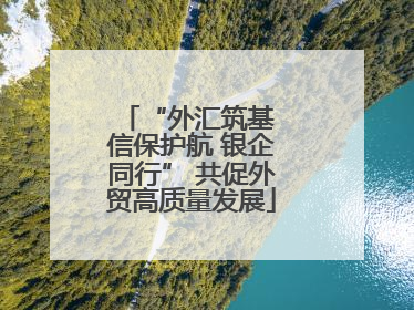 “外汇筑基 信保护航 银企同行” 共促外贸高质量发展