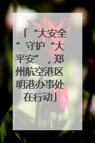 “大安全”守护“大平安”，郑州航空港区明港办事处在行动