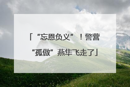 “忘恩负义”！警营“孤傲”燕隼飞走了