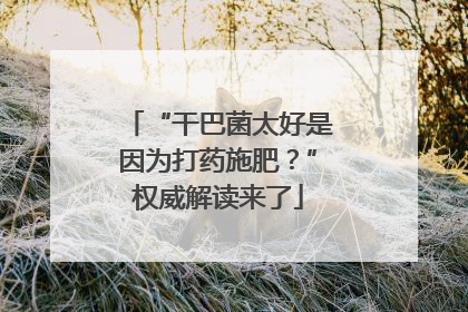 “干巴菌太好是因为打药施肥？”权威解读来了