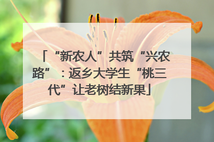 “新农人”共筑“兴农路”：返乡大学生“桃三代”让老树结新果