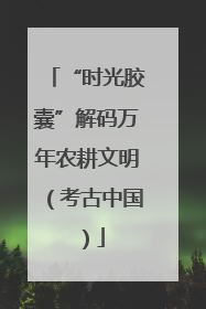 “时光胶囊”解码万年农耕文明（考古中国）