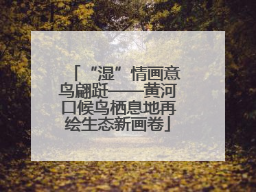 “湿”情画意鸟翩跹——黄河口候鸟栖息地再绘生态新画卷