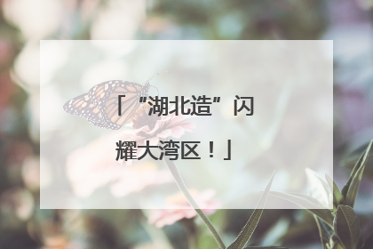 “湖北造”闪耀大湾区！