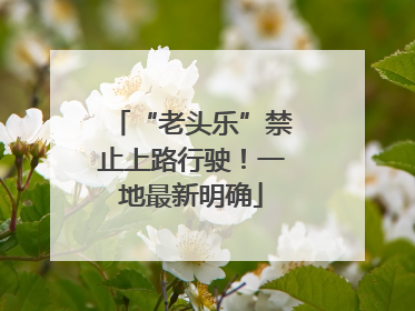 “老头乐”禁止上路行驶！一地最新明确