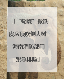 “蝴蝶”掀铁皮房顶吹倒大树 海南消防部门紧急排险