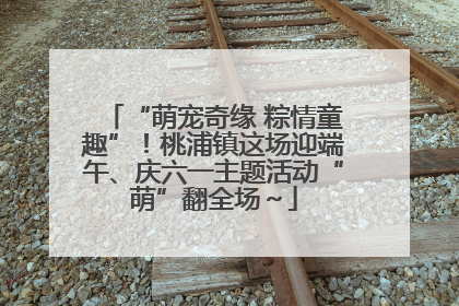 “萌宠奇缘 粽情童趣”！桃浦镇这场迎端午、庆六一主题活动“萌”翻全场～