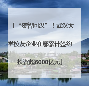“资智回汉”！武汉大学校友企业在鄂累计签约投资超6000亿元