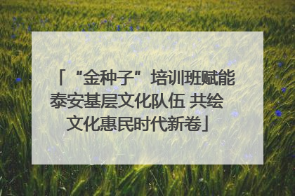 “金种子”培训班赋能泰安基层文化队伍 共绘文化惠民时代新卷