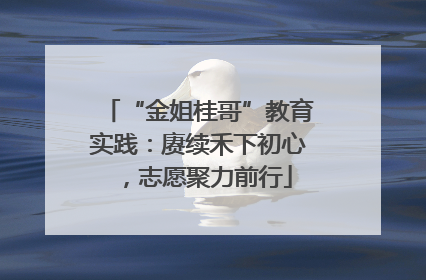 “金姐桂哥”教育实践：赓续禾下初心，志愿聚力前行