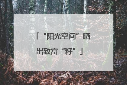 “阳光空间”晒出致富“籽”