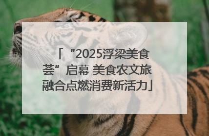 “2025浮梁美食荟”启幕 美食农文旅融合点燃消费新活力