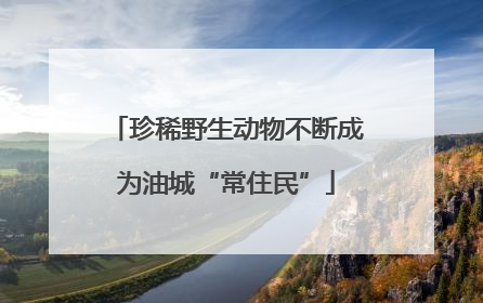 珍稀野生动物不断成为油城“常住民”