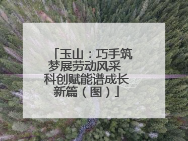 玉山：巧手筑梦展劳动风采 科创赋能谱成长新篇（图）