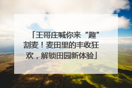 王哥庄喊你来“趣”割麦！麦田里的丰收狂欢，解锁田园新体验