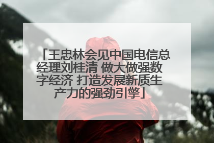 王忠林会见中国电信总经理刘桂清 做大做强数字经济 打造发展新质生产力的强劲引擎