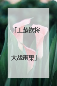 王楚钦将大战雨果