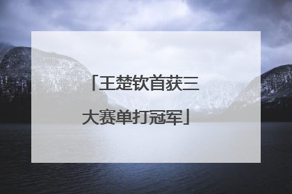 王楚钦首获三大赛单打冠军