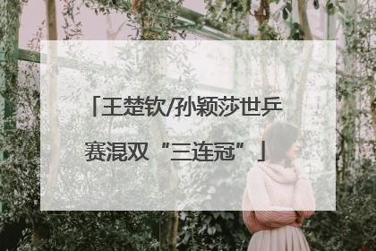 王楚钦/孙颖莎世乒赛混双“三连冠”