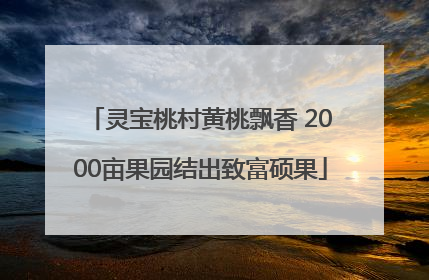 灵宝桃村黄桃飘香 2000亩果园结出致富硕果