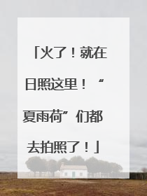 火了！就在日照这里！“夏雨荷”们都去拍照了！