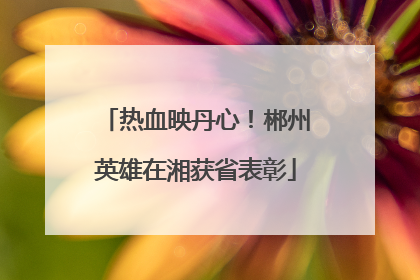 热血映丹心！郴州英雄在湘获省表彰