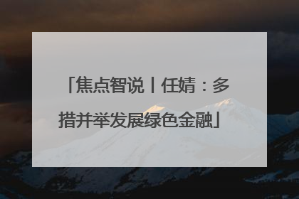 焦点智说丨任婧：多措并举发展绿色金融