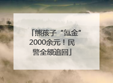 熊孩子“氪金”2000余元！民警全额追回
